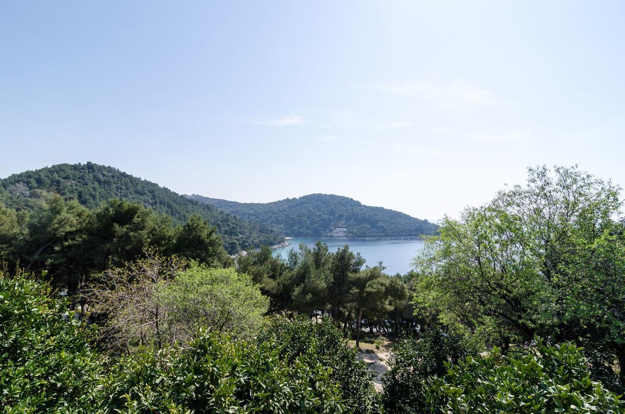 Guest House Kralj Saplunara Bagian luar foto