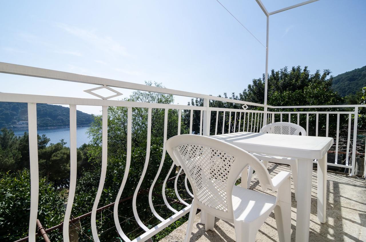 Guest House Kralj Saplunara Bagian luar foto